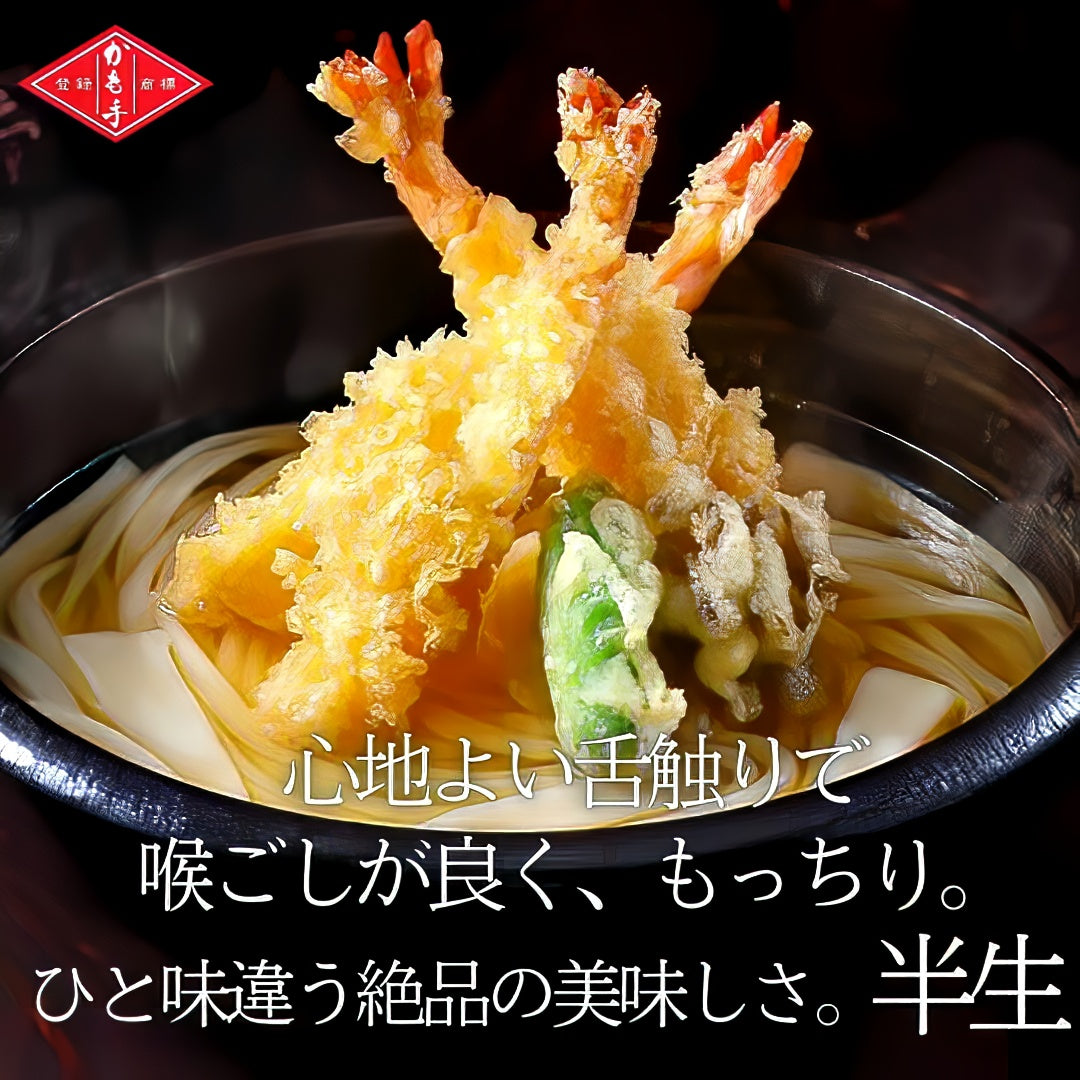 【かも手】一番のばし手延うどん (半生麺 2〜3人分)